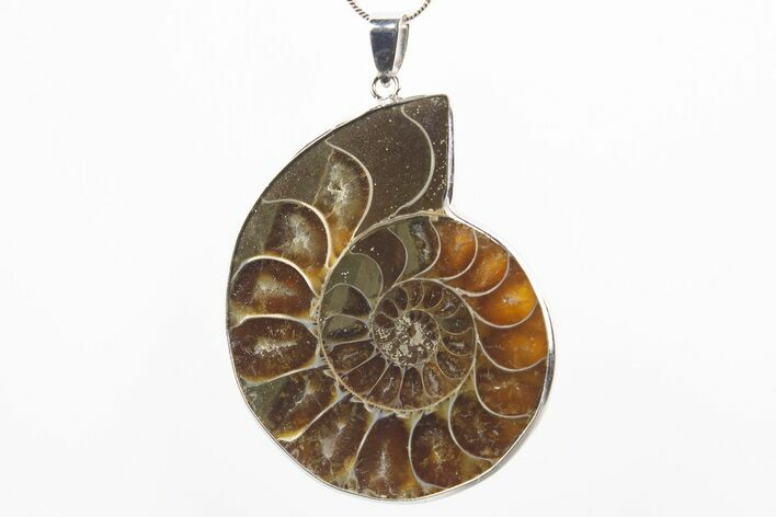 Fossil Ammonite Pendant - Million Years Old #306467